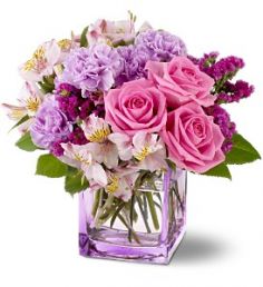 Beautiful Day in Bayside, NY | BAYSIDE FLORALS & PLANTS Beautiful Day in Bayside, NY | BAYSIDE FLORALS & PLANTS