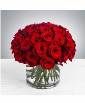 Beautiful day love  Red roses