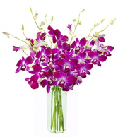 Dendrobium Simple Elegant Cut Orchids in a Vase
