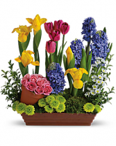Beautiful Garden Arrangement
