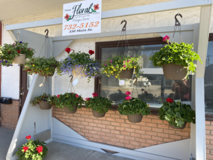 Beautiful Hanging Baskets Outdoor