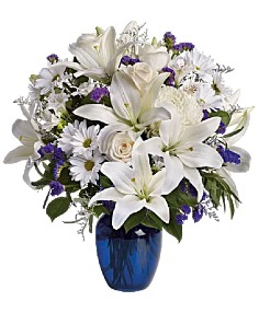 Category Image