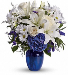 Category Image