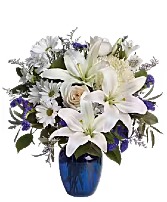 beautiful in blue sympathy