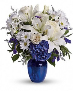 Beautiful in Blue T209-3B