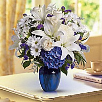 Beautiful in Blue Vase