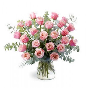 BEAUTIFUL Long Stem Pink Roses by Enchanted Florist of Cape Coral in Cape Coral, FL | ENCHANTED FLORIST OF CAPE CORAL BEAUTIFUL Long Stem Pink Roses by Enchanted Florist of Cape Coral in Cape Coral, FL | ENCHANTED FLORIST OF CAPE CORAL