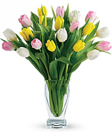 Beautiful Mixed Tulips Vase Arrangement