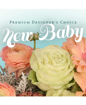Beautiful New Baby Flowers Premium Designer's Choice in Campbell River, BC | Petals Flower Shop