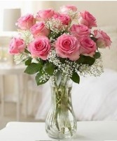 Beautiful Pink Roses  