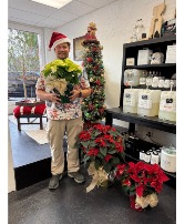 Beautiful Poinsettia Potted Plant