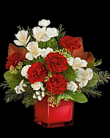beautiful red cube christmas floral 