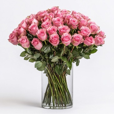 Lovely Pink & White Rose, Roses in the vase