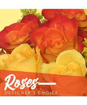 Beautiful Roses Designer's Choice