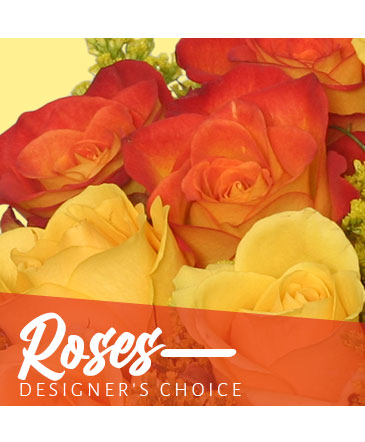 Beautiful Roses Designer's Choice in Corner Brook, NL | The Orchid