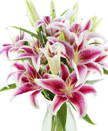 Beautiful Stargazers  vase arrangement  in Port Huron, MI | THE FLOWER NICHE