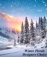 Beautiful Winter Flowers Designer's Choice