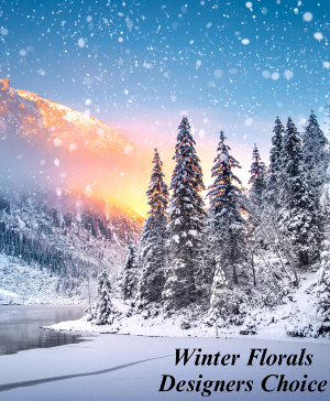 Beautiful Winter Flowers Designer's Choice