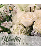 Beautiful Winter Flowers Designer's Choice