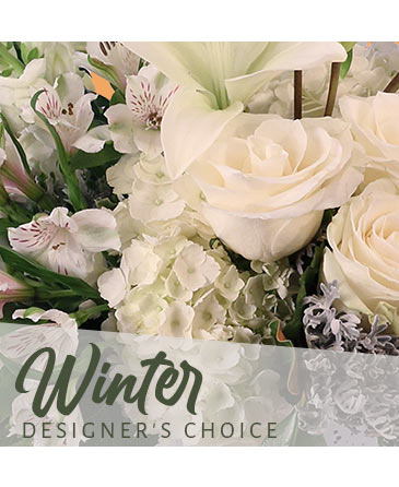 Beautiful Winter Flowers Designer's Choice in Plymouth, MA | CAROLE'S FLOWERS AND GIFTS