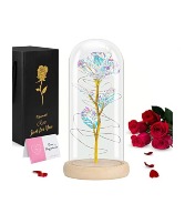 Beauty And The Beast Rose Valentine's