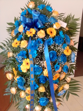 Beauty heaven Blue yellow extra large stand