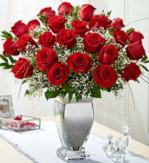 beauty in silver 2 dz red roses