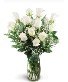 Beauty & Simplicity White Roses