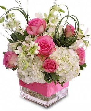 Because you’re so sweet  Fresh Flowers