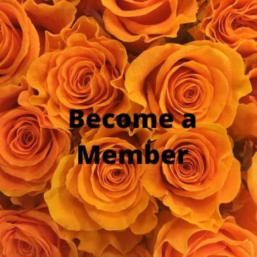 Become A Member in San Jose, CA | Blackistone Florist Become A Member in San Jose, CA | Blackistone Florist