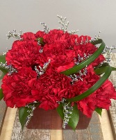 Valentine Carnations 