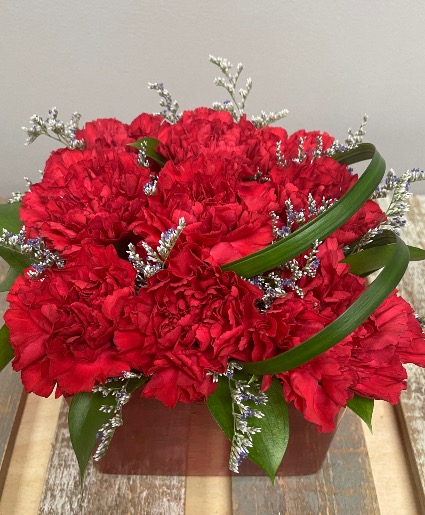 Valentine Carnations 