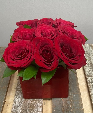 Bed Of Roses   in Etobicoke, ON | THE POTTY PLANTER FLORIST