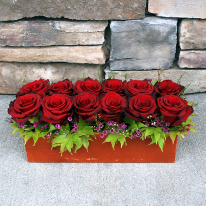 Bed of Roses Contemporary Rose Arrangement
