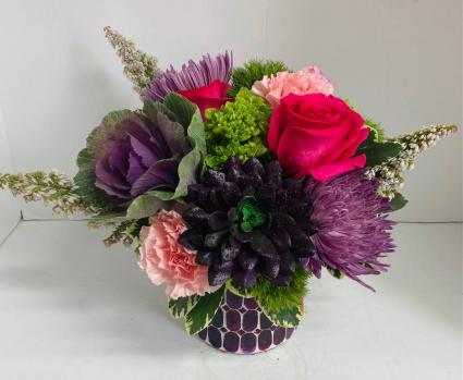 Bedazzling Beauty