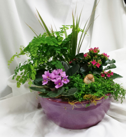 Bee Classic Planter Upgraded Dish Garden