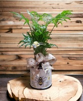 Bee Planter with Foliage Plant 
