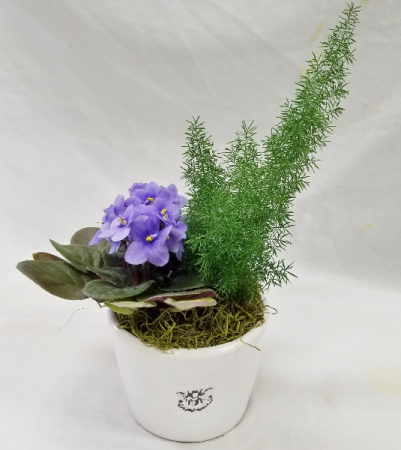 Bee Simple Planter