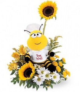 Bee Well Arrangement Get Well Flowers