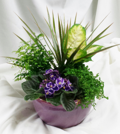 Bee's Classic Garden Green Planter