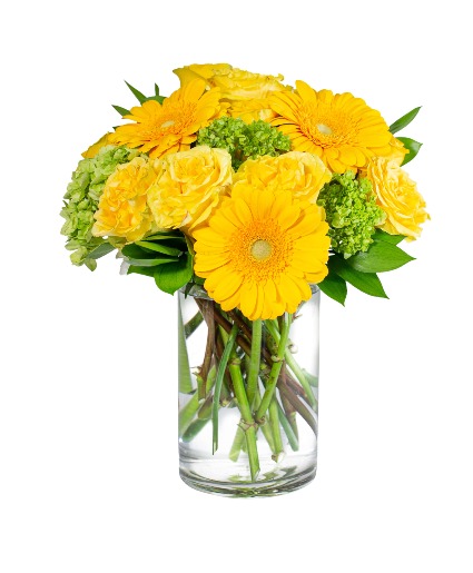 Bee's Knees Arrangement