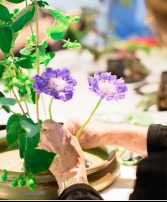  Ikebana 1/23/26, 6-8pm Workshop