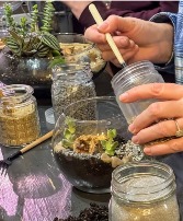 Terrarium 1/6/26, 6-8pm Workshop