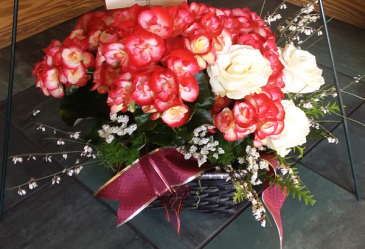 Begonia basket