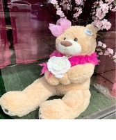 Beige Bear 