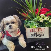 Believe In Magic Planter