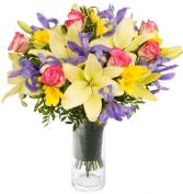 BELLA BOUQUET