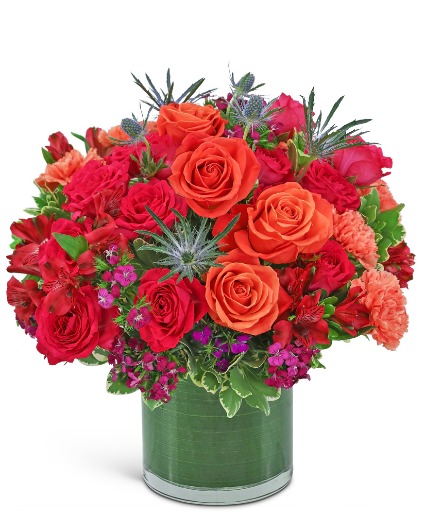 Bellini Luxe Flower Arrangement