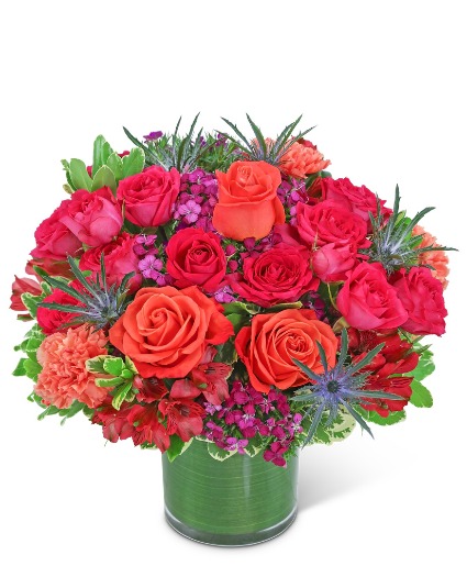 Bellini Star Flower Arrangement