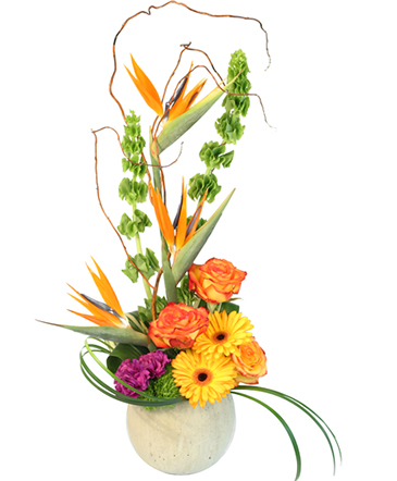 Bells of Paradise Floral Arrangement in Pensacola, FL | JUST JUDY'S FLOWERS, LOCAL ART & GIFTS